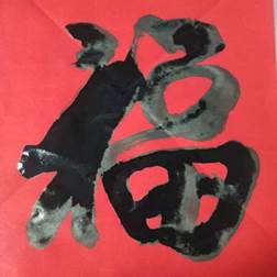 李贝贝