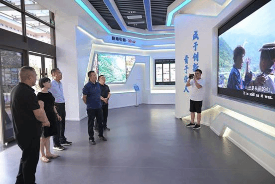 陇南电商中心 (1)