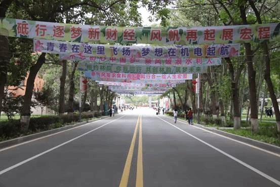图片18
